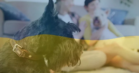 Friends using technology recording puppy cuddle on smartphone on sofa Видео 314094375