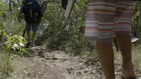 Friends with wakeboard walking in forest path Stock Footage 74906023