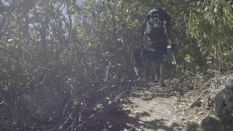 Friends with wakeboard walking in forest path 스톡 동영상 74906402