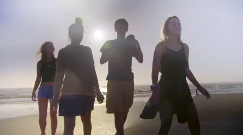 Friends walk on beach Stock Footage 53003175