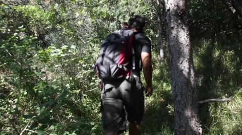 Friends walking in the woods during an excursion Stock Footage 48000611