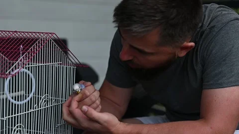 Friendship between a man and a bird, a man holding a small blue parrot, a d.. Stock Footage 282912402