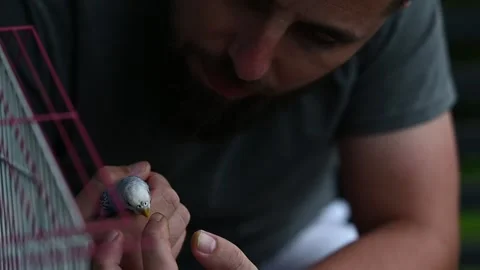 Friendship between a man and a bird, a man holding a small blue parrot, a d.. Stock Footage 330995225