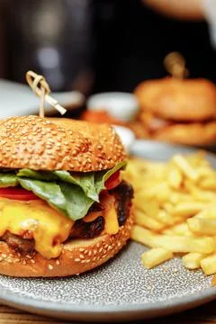 Fries and sancwich combo on the plate Foto stock