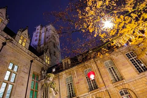 Fries de Nol  Dijon Stock Photos