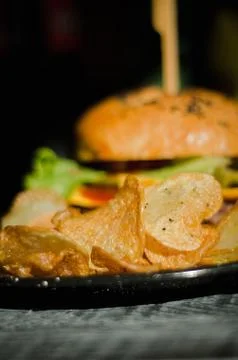 Fries on a plate with a rustic hamburger Stock Photos