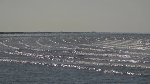 Friese kust 100 fr 4K Stock Footage 161810413
