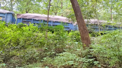 Fright train passing indian forest. Dudhsagar National Park. Goa. India. Video stock 260398692