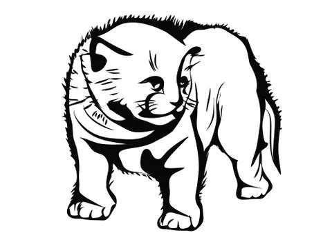 Frightened kitten Stock Illustration