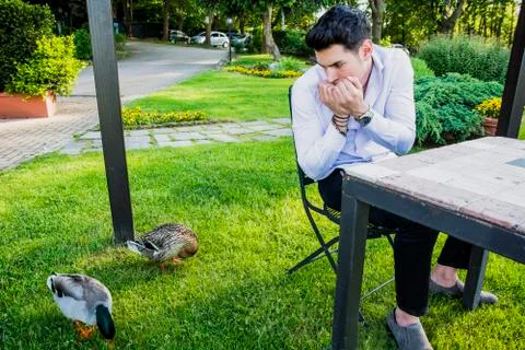 Frightened Young Man Staring at Pair of Ducks Stock Photos