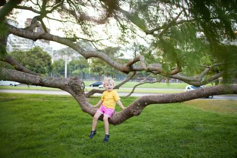 Frightentd child on the tree Foto stock
