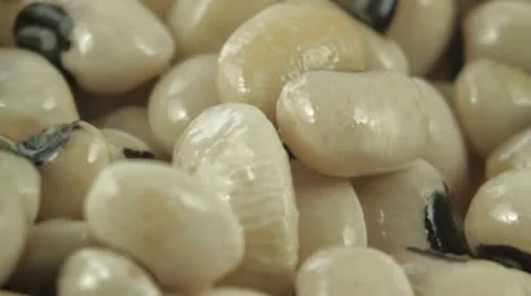 Frijol Video stock 10802812