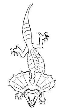 Frilled lizard Stock Illustration