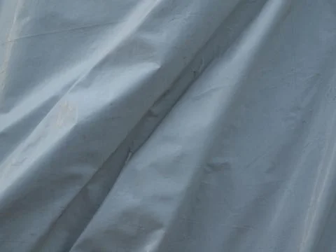 Frilled sail Fotos de archivo