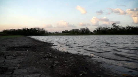 Frio river. Cano Negro, Costa Rica 스톡 동영상 64329655