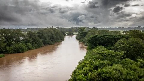 The Frio River flows through the Caño Negro Wildlife Refuge in Costa Rica, s.. Stock Photos