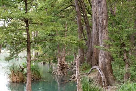 The Frio River Stock Photos