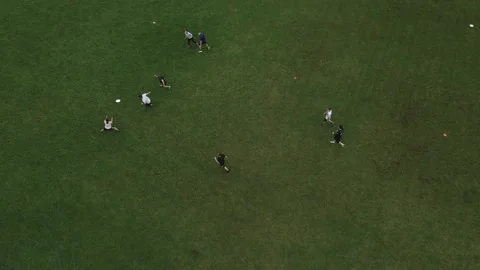 Frisbee Stock Footage 137854979