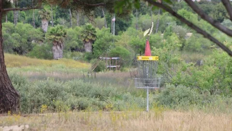 Frisbee Golf Receptacle In A Park Stock Footage 333227366