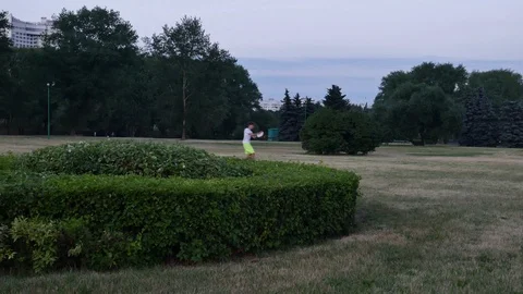 Frisbee in the park Stock Footage 91510474