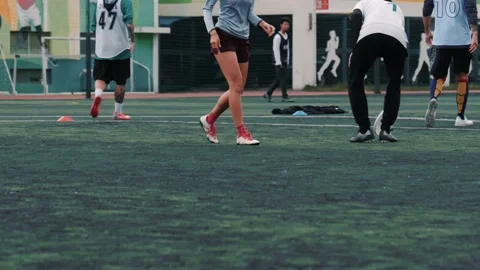 Frisbee training-02 Stock Footage 222501185