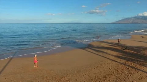 Frisbie on beach Stock Footage 86338330