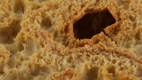 Friselle of dry bread Stock Footage 95876212