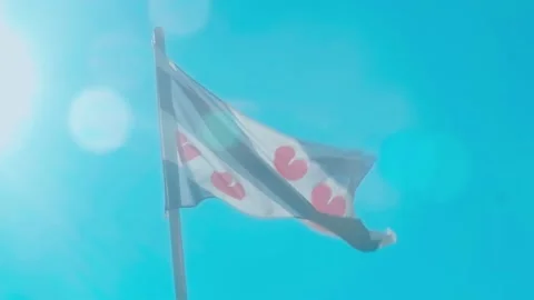 Frisian flag blowing in the wind 스톡 동영상 207092885