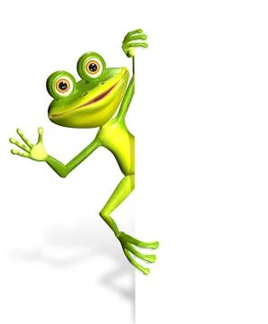 Frog and white background Stock Illustration
