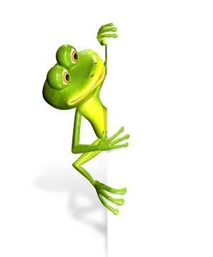 Frog and white background Stock Illustration
