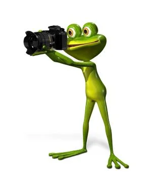 Frog with a camera Stock Illustration