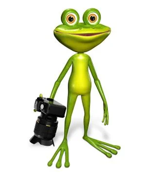 Frog with a camera Stock Illustration