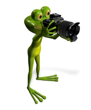 Frog with a camera Stock Illustration
