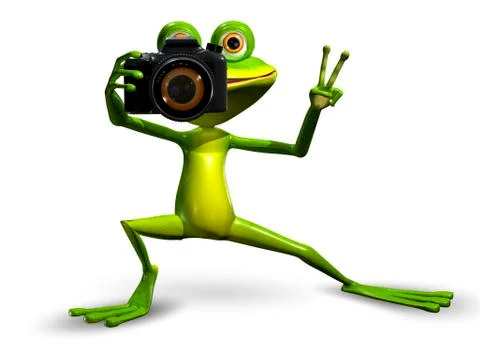 Frog with a Camera Stock Illustration