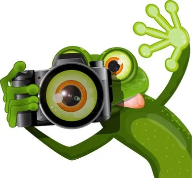 Frog With A Camera Stock Illustration