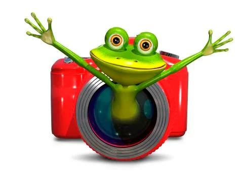 Frog in the camera Stock Illustration