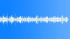 Frog chorusSound Effect