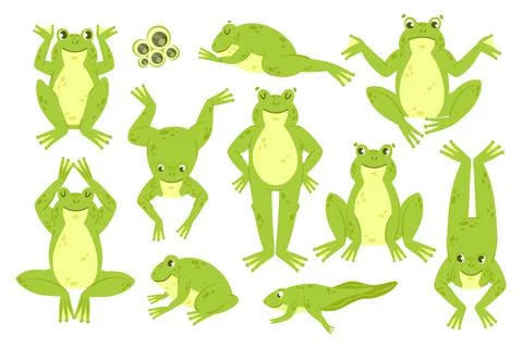 Frog cute set, funny happy green frog characters croak jump hop leap sleep Stock Illustration