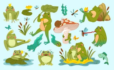 Frog cute. Toad character, funny animal, tadpole in pond. Childrens froggy .. Stock Illustration