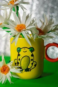 Frog Day Stock Photos