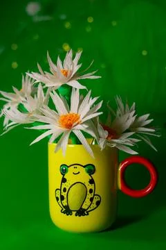 Frog Day Stock Photos