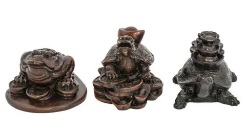 Frog, Dragon-turtle and Turtle Feng Shui on white blackground Stock Photos