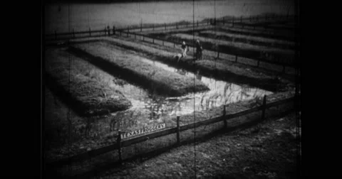 Frog farm in Texas Stock Footage 43502291