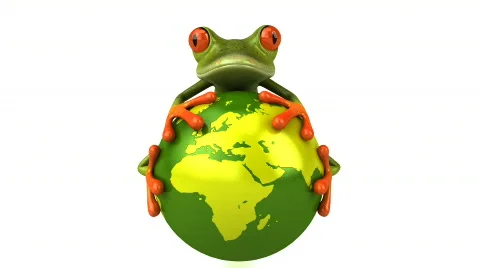 Frog Stock Footage