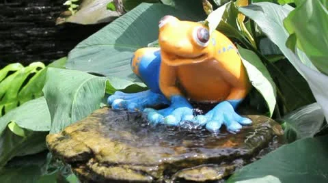Frog fountain in park Video stock 10825538