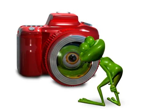 Frog in front of the camera Stock Illustration