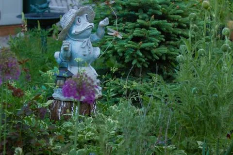 Frog in the Garden Foto stock