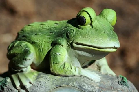 Frog Garden Statue Stock Photos