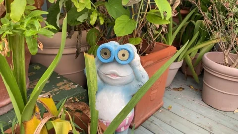 Frog garden vase Stockbeeldmateriaal 246425607