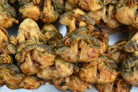 Frog with garlic pepper Stock Photos